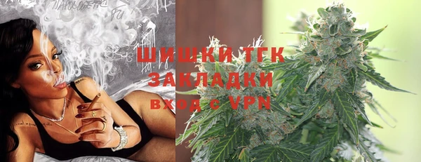 стафф Арсеньев